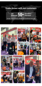 Am-एज़ोन हॉट सेल फोल्डेबल 3-व्हील ग्रीन फैब्रिक पोर्टेबल पालतू जानवरों और कुत्तों के छतरी डिजाइन के लिए - Product Image 5