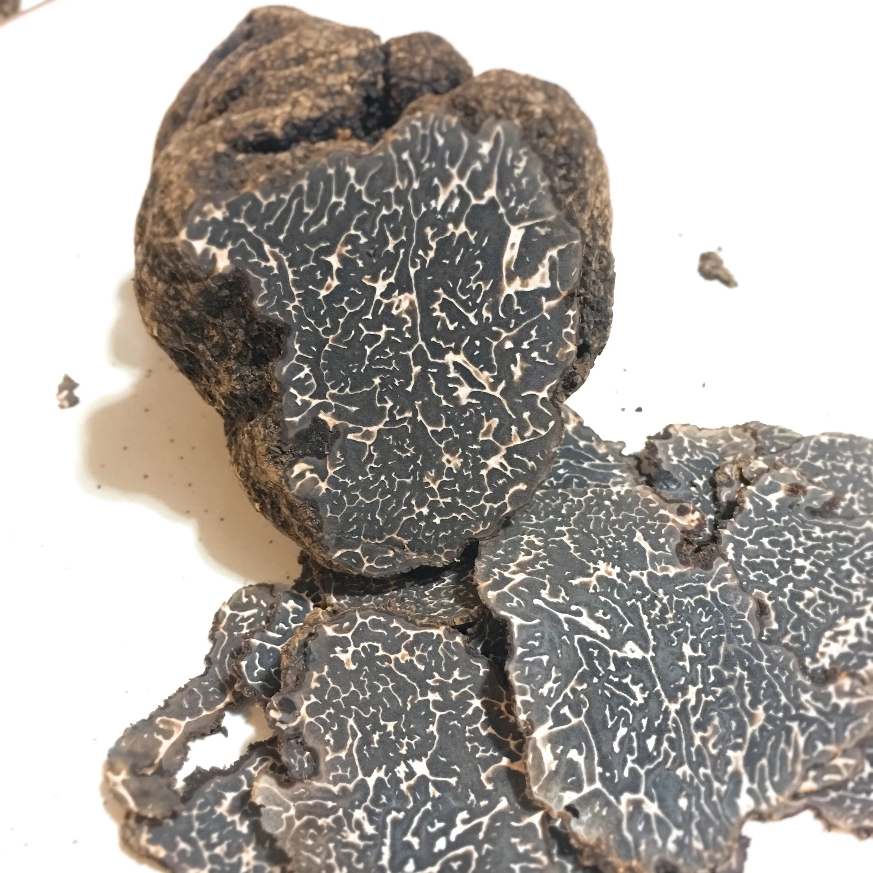 Trumushroom mantar doğal çin vahşi siyah mantar trutrutruffles Guangzhou gıda takviyesi parça kurutulmuş mantar 1Kg/