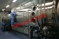 Équipement de séchage continu à bande à basse température pour lait de chameau, sécheur à bande pour lait d'âne, machine déshydratante