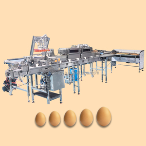 Tự động khay trứng phân loại dây chuyền sản xuất trứng trọng lượng và kích thước phân loại dây chuyền sản xuất - Product Image 4