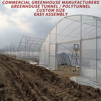 Structure de serre agricole monopente de grande taille avec système hydroponique, tunnel configurable et système d'irrigation, recouverte de film PE