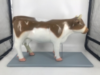 Modelo Anatómico de Vaca Educativo en 3D de PVC, Esqueleto Anatómico de Ganado para Acupuntura, Modelo Anatómico de Animales de Vaca Gratis