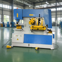 Machine à découper et à poinçonner hydraulique Q35Y-16, capacité 16 mm, automatique, pour acier profilé et tôles d'acier