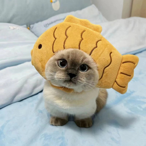 Chapeau en peluche doux et respirant en forme de poisson mignon pour chat de compagnie, accessoire de costume décoratif pour poupées - Product Image 2