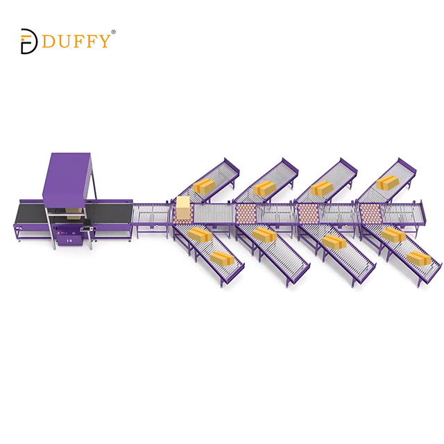 Dws Parcel Sort Sorted Parcel Sorting Machine Machine Weigh Scan Dimens Dws System