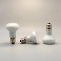 Lampe chauffante UVA E27 pour terrarium de reptiles, ampoule halogène blanc chaud haute luminosité en verre, installation facile, pour dragon barbu