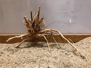 분기 분재 물고기 탱크 수족관 자연 드리프트 나무 물고기 탱크 장식 수족관 드리프트 나무 장식 - Product Image 6