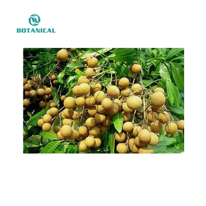 B.c.i cung cấp phân hủy sinh học thảo mộc soapnut chiết xuất <span class=keywords><strong>sapindus</strong></span> mukorossi trái cây chiết xuất bột <span class=keywords><strong>sapindus</strong></span> saponin 70% - Product Image 2