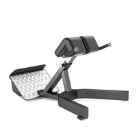 Chaise romaine en gros, idéale pour la salle de sport commerciale, banc d'entraînement pour étirements du dos, entraîneur lombaire, banc romain