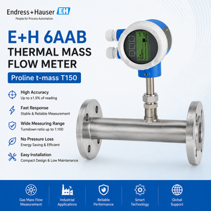 โซลูชันการวัดการไหลของก๊าซอุตสาหกรรม Endress+Hauser T-Mass T150 6AAB เครื่องวัดการไหลแบบมวลความร้อนอุตสาหกรรม E+H 6TAB - Product Image 1