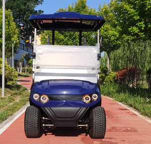 4 bánh xe duy nhất Rider giá rẻ phù hợp tay đóng điện đường phố <span class=keywords><strong>Buggy</strong></span> 2 CHỖ NGỒI điện chỗ ngồi Golf giỏ hàng pin bán Trung Quốc - Product Image 5