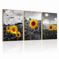 Cetakan Kanvas Triptych Bunga Matahari Hitam Putih Berbingkai Emas, Warna Selektif, Bunga Kuning, Fotografi Alam Dramatis, Dekorasi Mewah