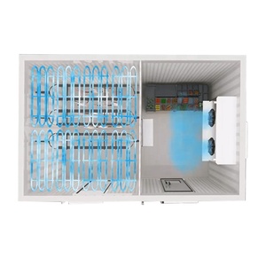 Cámara Frigorífica Comercial para Carne, Verduras y Productos Congelados, Almacenamiento en Frío, Congelador, Cámara Frigorífica, Congelador Industrial - Product Image 4