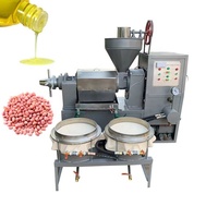 Machine de pressage à froid commerciale automatique pour petites exploitations agricoles, pour huiles de macadamia, de ricin et d'arachide, fabriquée en Chine