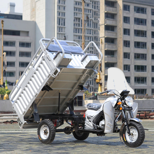 <strong>Compact</strong> and Flexible Three Wheeled Gasoline Passenger Car Motorcycle/fuel Powered <strong>Tricycle</strong> - Product Image 1