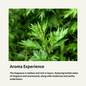 ヨモギ葉エッセンシャルオイル-100%純粋蒸留法による少量カスタマイズ、男性女性用マッサージオイル - Product Image 3