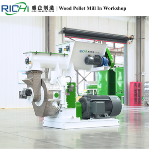 Linea di Produzione Pellet di Biomassa RICHI Approvata CE/ISO/ATEX, Macchina per Pellet di Legno, Linea di Produzione Pellet di Paglia - Product Image 3