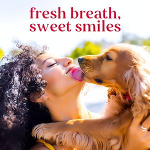 OEM ODM Bâtonnet à mâcher pour chien, brosses à dents et bâtonnets molaires, saveur bœuf, pour le nettoyage dentaire, l'entraînement, la santé intestinale et la prévention du tartre et de la plaque dentaire - Product Image 5