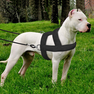 Rompi kekerasan anjing tertimbang kustom, Set tali latihan otot tugas berat - Product Image 3