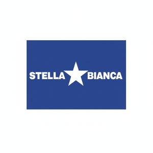 HSS rotativo Cutter Art. 25 Fig.17 stella bianca rivestita di 0250017 conica per intaglio del legno fresatura 3.175mm 10mm gambo per fresatura - Product Image 1