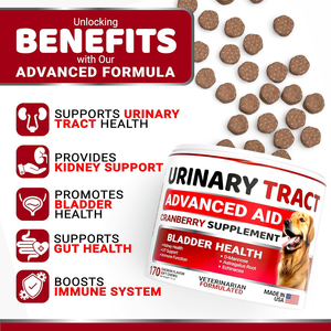 Friandises à mâcher à la canneberge pour chiens - Complément alimentaire pour la santé des reins, <span class=keywords><strong>de</strong></span> la <span class=keywords><strong>vessie</strong></span> et des voies urinaires - Stimulateur naturel du système immunitaire - Product Image 4