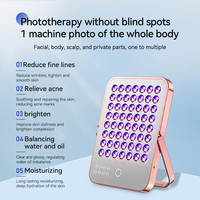 Profession elle elektrische schnur lose Hautpflege Rotlicht therapie Panel Beauty Device LED Make-up Spiegel