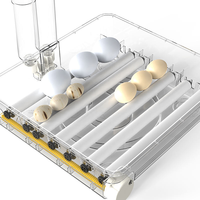 Nueva Máquina Incubadora de Huevos Totalmente Automática para 24 Huevos, Alta Tasa de Incubación del 98%, 220V/110V, Equipo para Granjas Avícolas para Pollos, Patos y Gansos