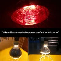 Lampe chauffante pour porcs, poulets, élevage vétérinaire, ampoule pour élevage, lampe de chauffage pour ferme animale, 220V, température de couleur non spécifiée, fabriqué en Chine