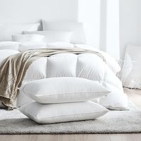 Oreiller Moderne en Plumes de Canard Blanches, Housse 100% Coton, Doux, Moelleux, Confortable, Soutien pour le Sommeil, Anti-Acariens, Anti-Boulochage, Literie