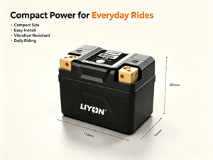 Nuova Pompa Freno a Disco Anteriore e Posteriore per Moto Elettrica <span class=keywords><strong>Kymco</strong></span> 12.8V 2AH LIKE180 <span class=keywords><strong>150</strong></span> con Batteria agli Ioni di Litio per Retrofit/Aggiornamento - Product Image 3