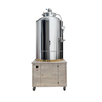 Contrôle de température de l'équipement de brasserie à haute efficacité 100L/300l/500l/1000l cuve de Fermentation de bière 3 en 1 avec une capacité de 100l