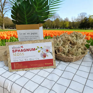 Mousse de sphagne moderne, écologique, flexible et hydratante <span class=keywords><strong>pour</strong></span> la culture en plaque, montage de mini-orchidées, couche de base <span class=keywords><strong>pour</strong></span> orchidées - Product Image 1