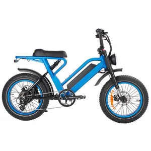 공장 직접 판매 MTB 제조 업체 1000 와트 48 볼트 지방 타이어 스포츠 전기 산악 자전거 2023