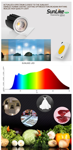 Módulo de luz descendente COB Motor de punto LED IP20 IP65 6W 8W Ra90 Módulo LED downlight sunlike mr16 módulo - Product Image 3