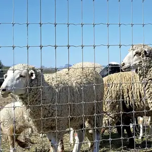 גדר חוות תיל סיטונאי גדר משחק שדה תיל ארוג/גדר חוות כבשים מגולוונת מחיר מפעל/ 2.2 מ""מ 2.5 מ""מ 2.7 מ""מ