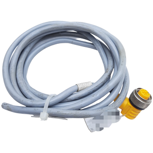 Kabel M12 Eurofast Female X Bare End 2m Sudut Lurus 4.4t-2-ws 4.4t/s675 Baru Original Stok Siap Otomatisasi Industri - Product Image 1