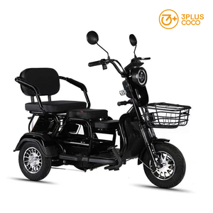 Vente d'usine <span class=keywords><strong>Tricycle</strong></span> <span class=keywords><strong>adulte</strong></span> pour personnes handicapées, scooter <span class=keywords><strong>électrique</strong></span> de loisirs à trois places 650w, <span class=keywords><strong>tricycle</strong></span> <span class=keywords><strong>électrique</strong></span> de loisirs pour personnes âgées, mini moto - Product Image 5