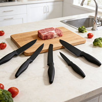 Ensemble de couteaux de cuisine professionnels avec lames en acier inoxydable noir, manche en PP, logo personnalisable pour la découpe