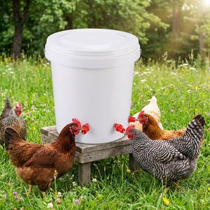 2000 Pezzi Abbeveratoio a Nipple <span class=keywords><strong>per</strong></span> Polli, Quaglie, Pulcini, Broiler, <span class=keywords><strong>Tacchini</strong></span> - Fontana Automatica <span class=keywords><strong>per</strong></span> l'Alimentazione ad Acqua del Pollame da Fattoria - Product Image 6