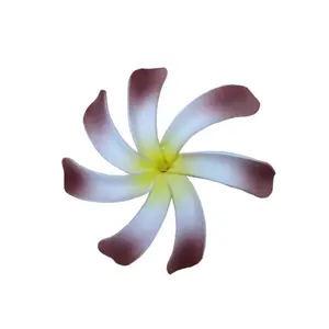 Padrão personalizado pessoal frangipani havaiano espuma flor com haste