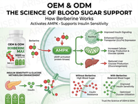 Capsules de berbérine OEM, extrait d'herbes de berbérine, capsules de chlorhydrate de berbérine, haute qualité, 500 mg, 1000 mg, compléments naturels