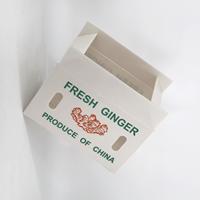 Conteneur en PP ondulé recyclable pour gingembre, étanche, lavable, empilable, dégradable, pour la récolte de gingembre frais en ferme