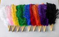 HY grand éventail à main pliant en plumes d'autruche pour femmes Costume Show Tea Party accessoire vacances danse mariée mariage décor