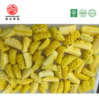 IQF Diepvries Ananasblokjes voor Bakkerij Dessert IJsroom Juice Bar Catering Vers Gesneden Fruit 10kg Bulk Karton