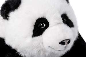 <span class=keywords><strong>Panda</strong></span> <span class=keywords><strong>chinois</strong></span> AI Companion, interactif vocal, 60 langues, jouet fabriqué à Shenzhen pour enfants - Product Image 5