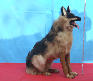 Personnalisé personnel 1 pièce, quantité minimale de commande, <span class=keywords><strong>chien</strong></span> personnalisé ressemble à un vrai <span class=keywords><strong>chien</strong></span> vivant, <span class=keywords><strong>chien</strong></span> de compagnon personnel personnalisé professionnel - Product Image 3