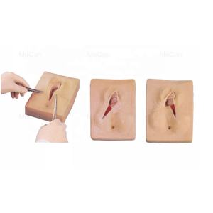 Simulateur médical de suture de périnée modèle d'anatomie humaine simulateur d'entraînement de coupe de périnée de médecin général - Product Image 5