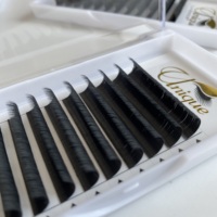 Extensions de cils en volume faciles à poser, fabriquées à la main en Corée, marque privée, PBT, plateaux de 0,03, 0,05, 0,07, cils en cachemire noir mat, extensions de cils méga