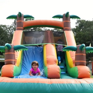 Commercial <strong>Large</strong> 100% PVC <strong>Inflatable</strong> Water <strong>Slide</strong> for Adults and Children with Blower - Product Image 6