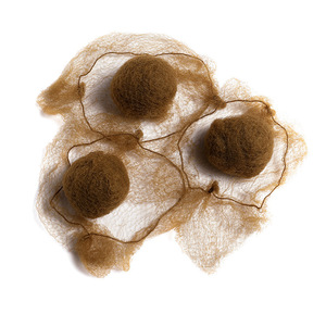 Couvre-<span class=keywords><strong>chignon</strong></span> de ballet pour femmes Dge de danse en maille et en U Jeu d'épingles en forme de <span class=keywords><strong>chignon</strong></span> dnace Elastic Edge Mesh <span class=keywords><strong>Invisible</strong></span> Hair Nets - Product Image 6